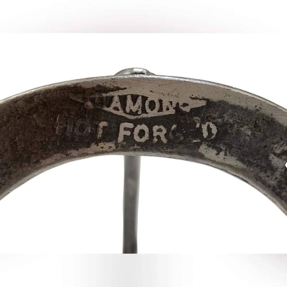 Iron Metal Horseshoe Wall Rack 2 Hook Coat Hat Storage Western Cowboy FIRM $
